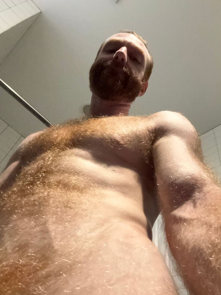 Hairy ginger man point of view from waist high angled upwards showing hairy chest, arms, shoulder. 