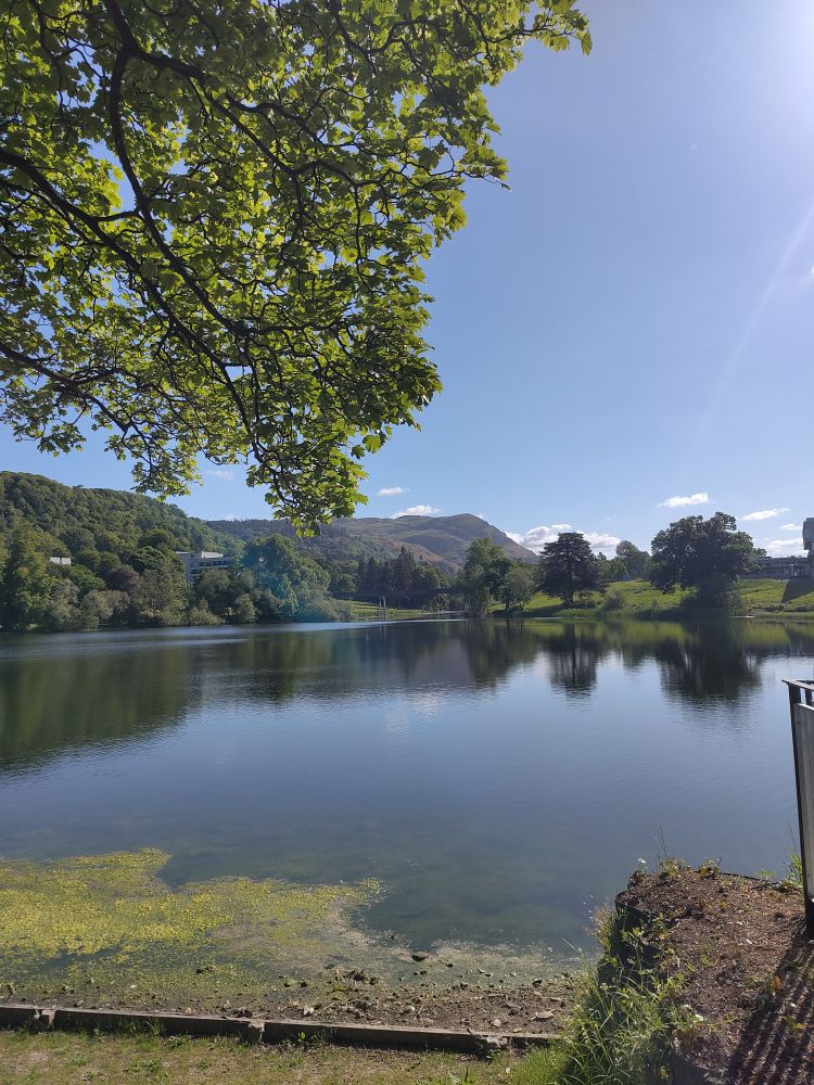 Smooth loch with hills in the background and oak branch covering a quarter of the photo, top left - University of Stirling 
