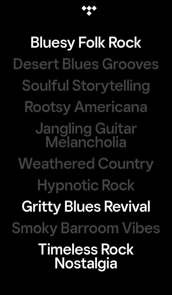 Vuoden 2025 musiikin kuunteluni tyyleinä:
Bluesy Folk Rock
Desert Blues Grooves
Soulful Storytelling
Rootsy Americana
Jangling Guitar Melancholia
Weathered Country
Hypnotic Rock
Gritty Blues Revival
Smoky Barroom Vibes
Timeless Rock Nostalgia