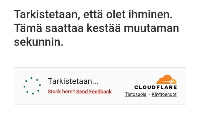 "Tarkistetaan, että olet ihminen. Tämä saattaa kestää muutaman sekunnin."