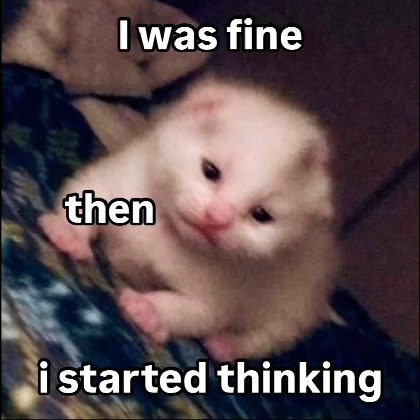 gato triste y un texto: "i was fine, then i started thinking"