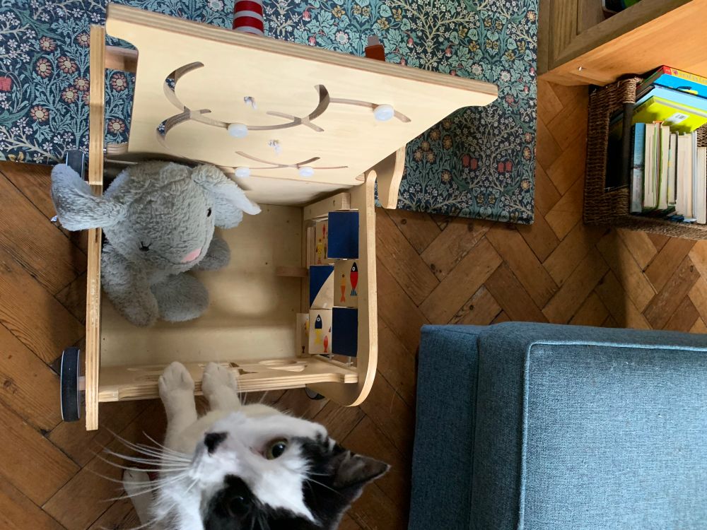Teddy sat in a child’s play trolley.  A cat is watching the camera while leaning on the same trolley