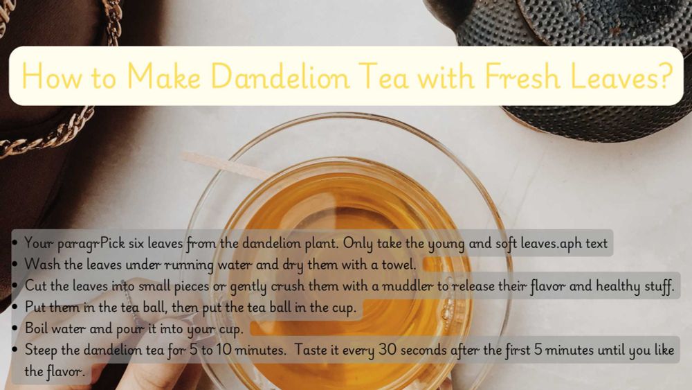 How to Make Dandelion Tea with Fresh Leaves? - misc019