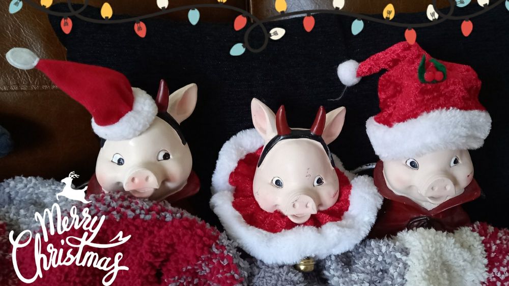 Three vampiggies in their Christmas outfits, snuggling under a blanket