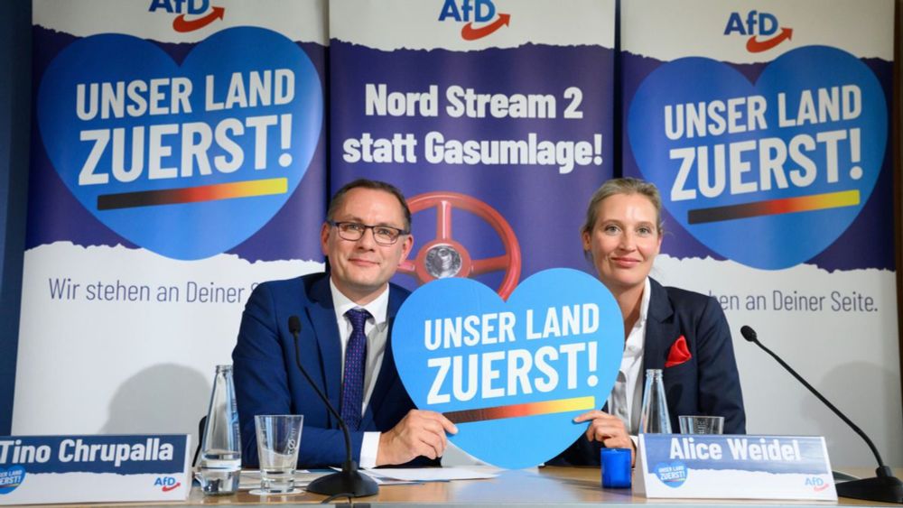 (S+) Wirtschaft: Das würde das Programm der AfD für unseren Wohlstand bedeuten