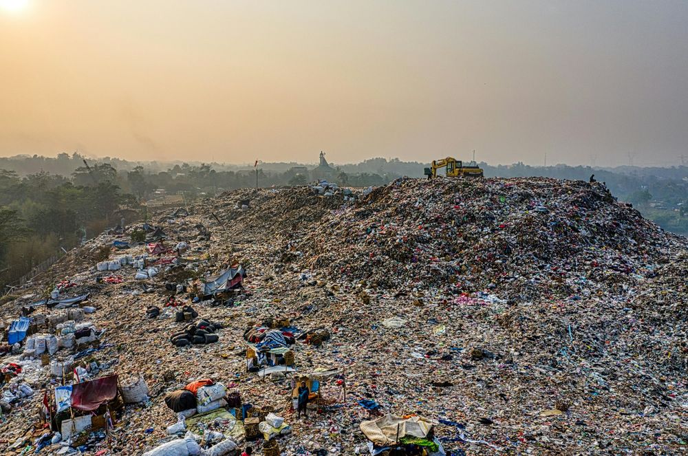 Bacterial Cellulose Sheets Could Replace Plastics with Biodegradable Strength