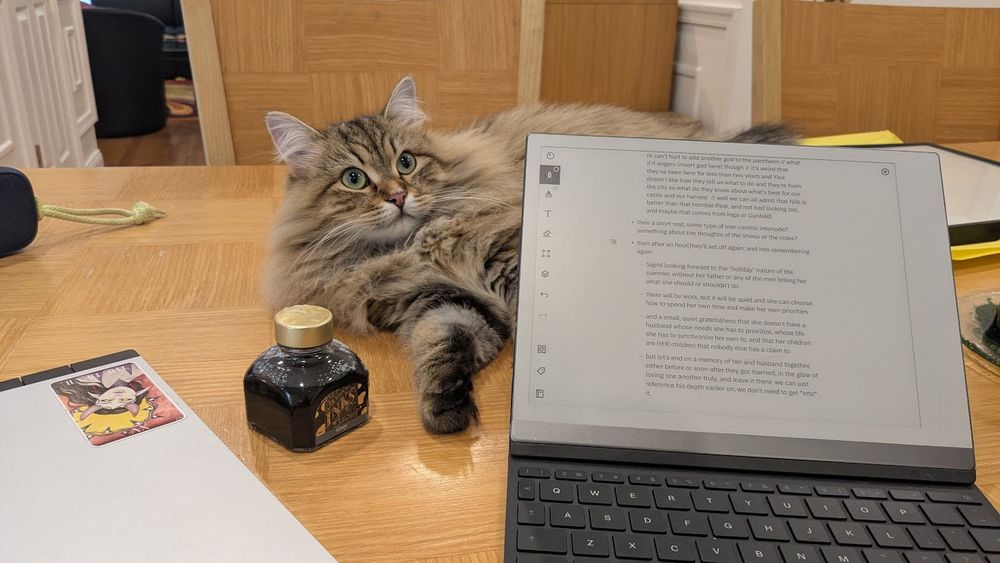 Photo of a long-haired caramel-and-grey coloured cat laying on a table next to a tablet with its keyboard open, a bottle of fountain pen ink, and a laptop. The cat has an alert, mischievous expression and a really fluffy neck.