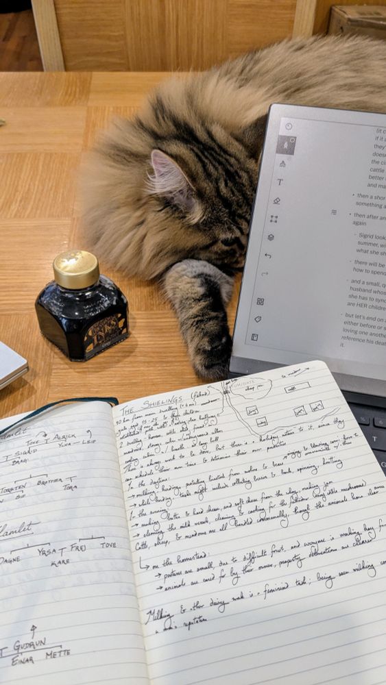 Photo of a table that has a sleepy long-haired cat lounging on it, behind a tablet, a notebook with writing in it, and a bottle of fountain pen ink.