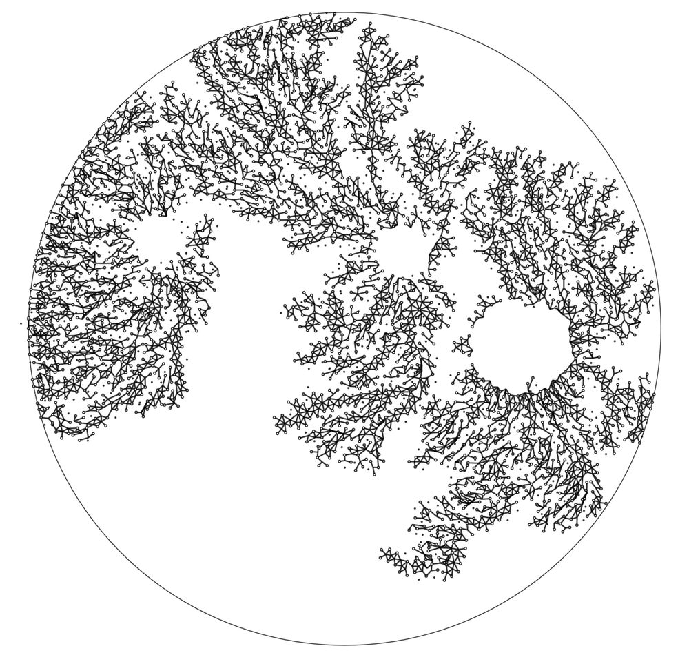 generative branching structure trapped inside a circle.