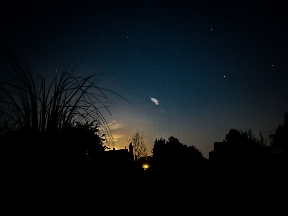 Ein Sternenhimmel mit einer Häuser-Gräser-Skyline. 
