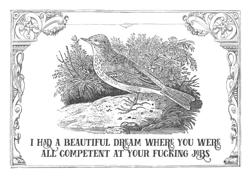 A drawing of a rude effin bird saying:

I HAD A BEAUTIFUL DREAM WHERE YOU WERE AL COMPETENT AT YOUR FUCKING JOBS

Credit to @effinbirds.com