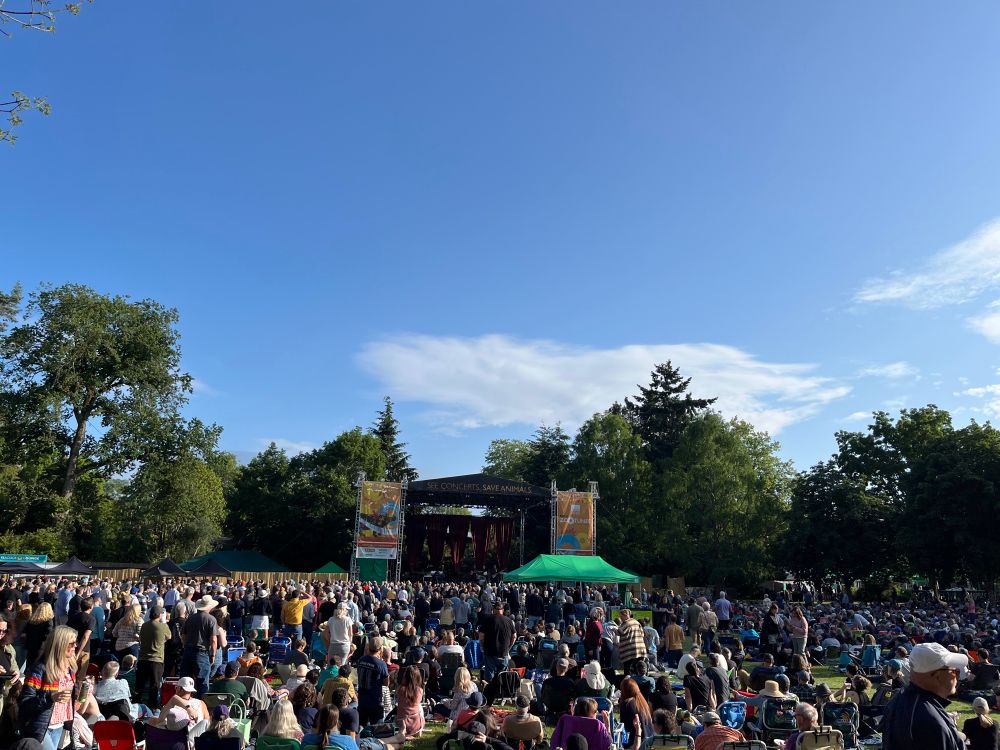 A crowd in front of a concert stage at Woodland Park Zoo under a blue sky. 