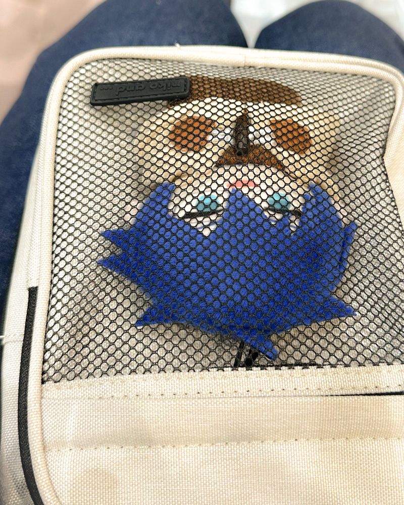 メッシュポケットつきのポーチに詰められ、旅行に同行する博士ぱぺの写真。