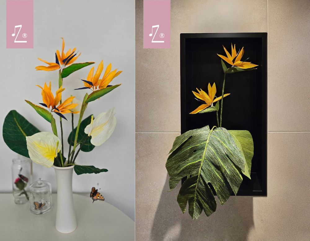 paperflower bird of paradise