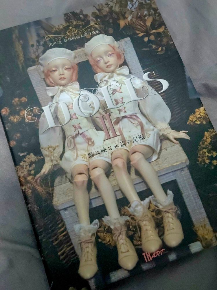 An japanese art book called "Dolls", with two pink haired twin dolls sitting on a chair posed against a flowery bg as the cover