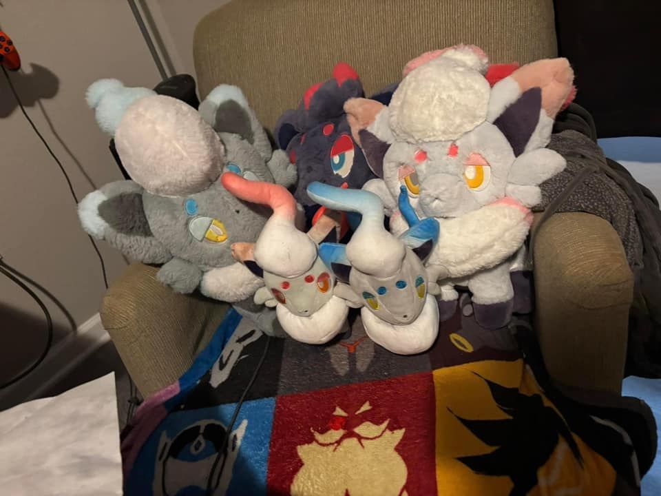 hisuian zorua plushes hiding a kanto zorua