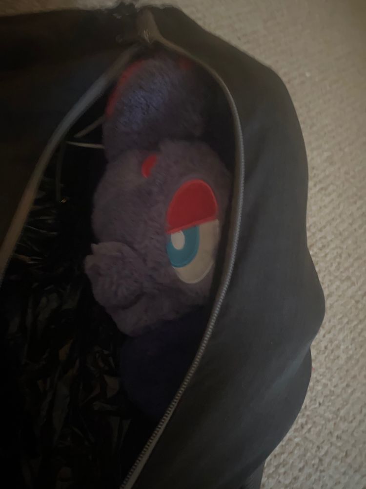 zorua stuffed in a bag