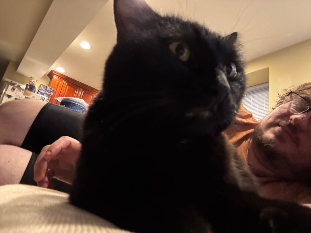 Black cat on a couch with a white guy with glasses 