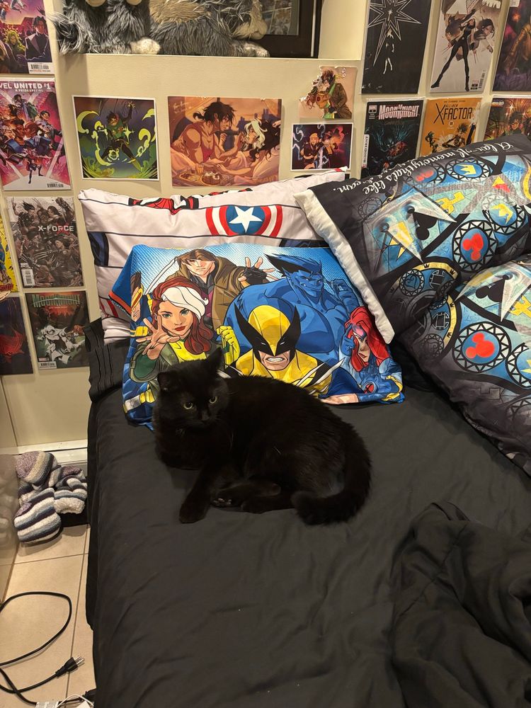 A black cat sitting on a bed with black sheets and multiple pillows
