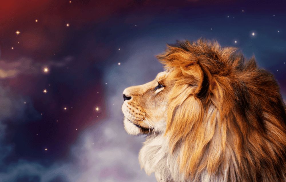 New Moon in Leo 2024 - and Tarot Readings for Each Zodiac Sign