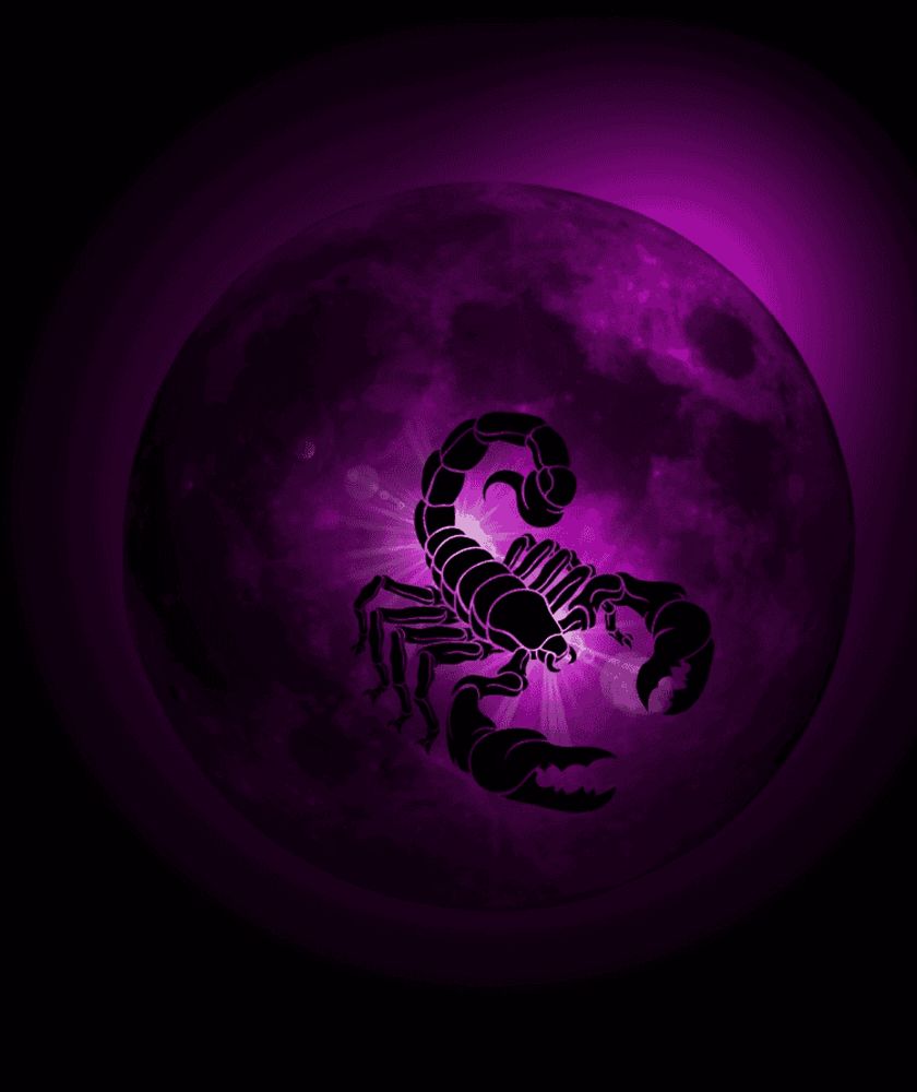 Full Moon in Scorpio 2024 - and Tarot Readings for Each Zodiac Sign