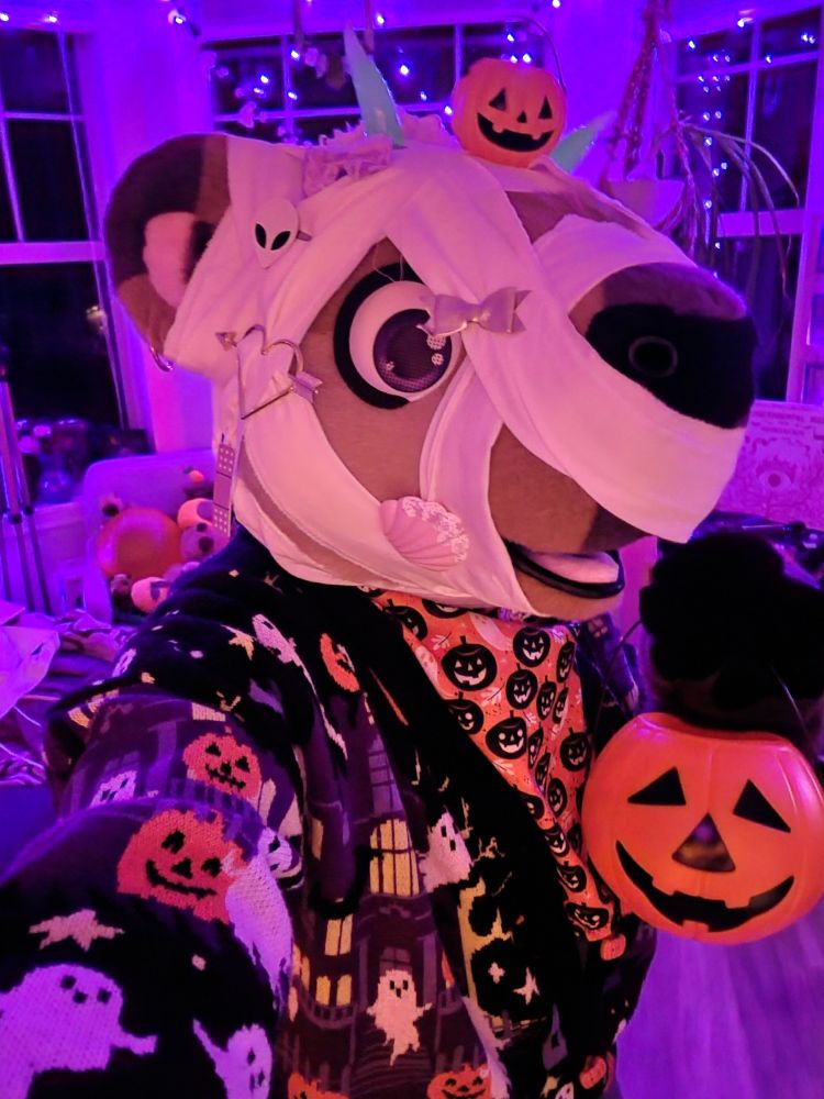 A capybara fursuit dressed in bandages for halloween, holding a pu.pkin candy bucket