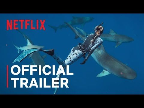 Shark Whisperer | Official Trailer | Netflix