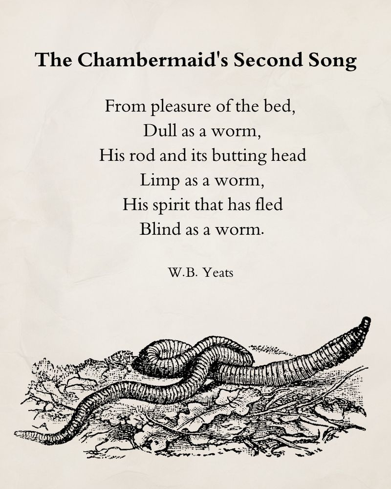 The Chambermaid's Second Song

From pleasure of the bed,
 Dull as a worm,
 His rod and its butting head
 Limp as a worm,
 His spirit that has fled
 Blind as a worm.

W.B Yeats

(Illustration of an earthworm)