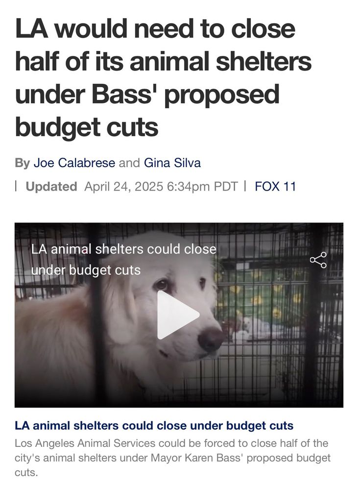 Headline: LA would need to close half of it's animal shelters under Bass's proposed budget cuts