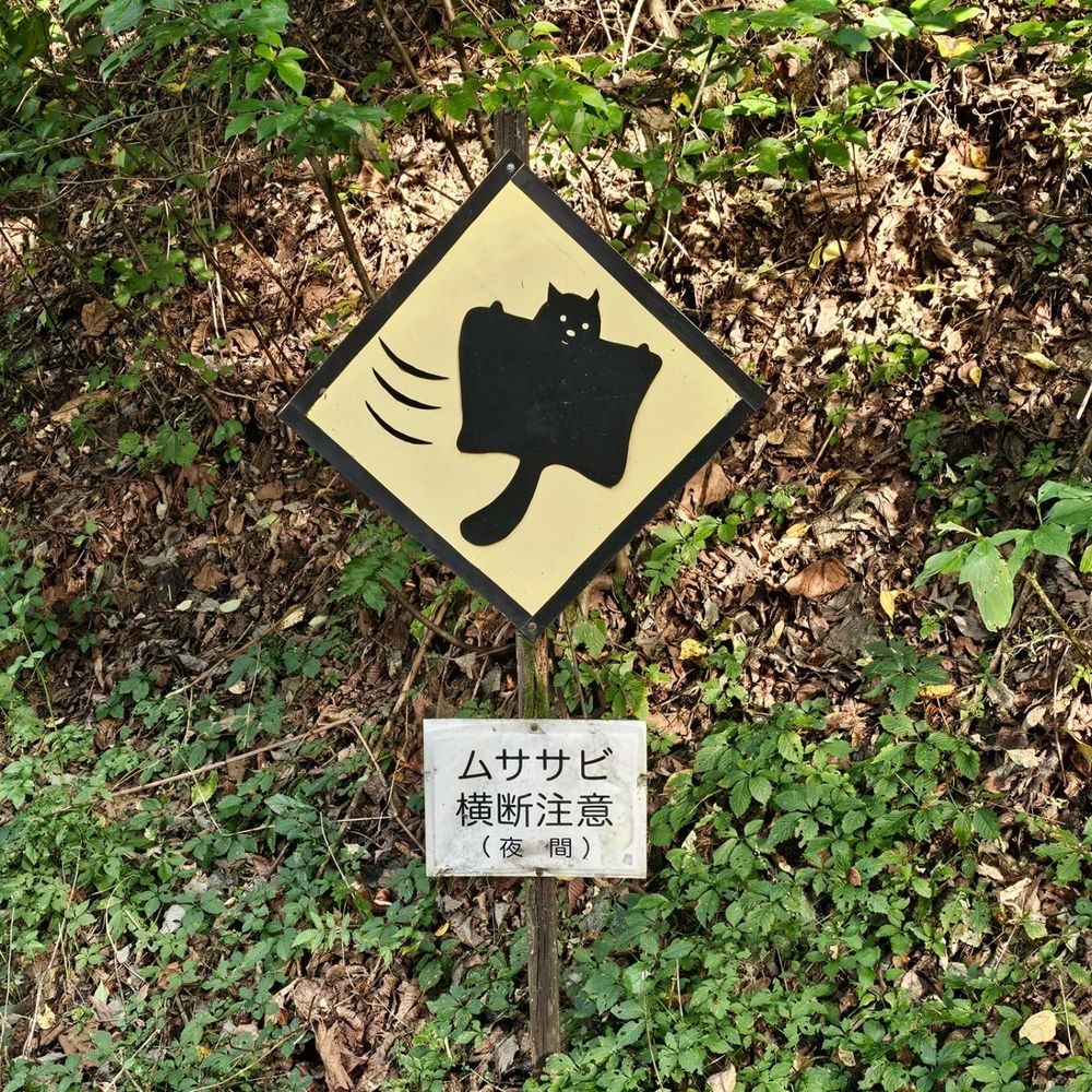 a yellow warning sign with a stylized flying squirrel. the Japanese reads "watch out for crossing flying squirrels"
