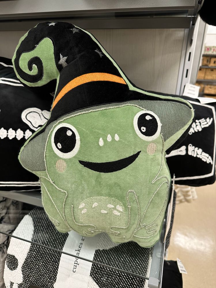 Frog Witch Pillow