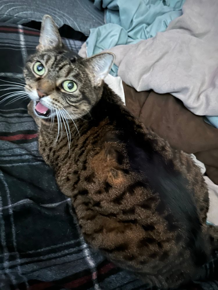 Wildflower having a heck’n screm.