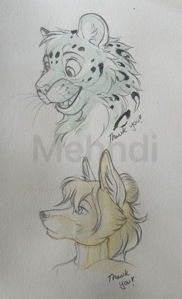 A page with a drawing of a snow leopard on the top, he’s happy and looking down. He’s shaded with teal blue wash.
The lower sketch is of a fox bust looking to the side in profile. His hair is shoulder length with a bun at the top and he’s wearing a turtleneck shirt.