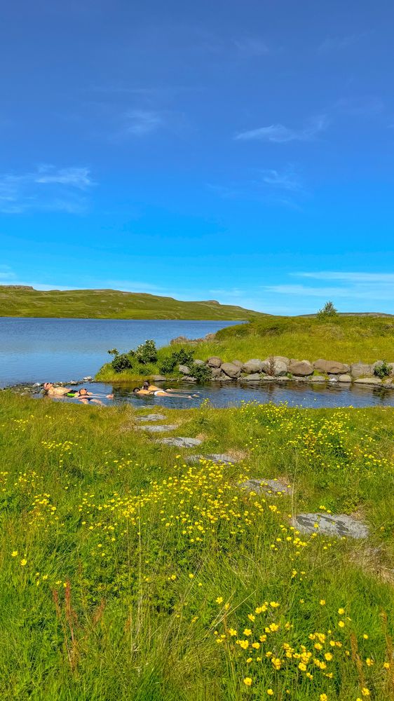 Picture of people relaxing in a geothermal spring next to a lake in a grassy, flowery valley in Iceland 