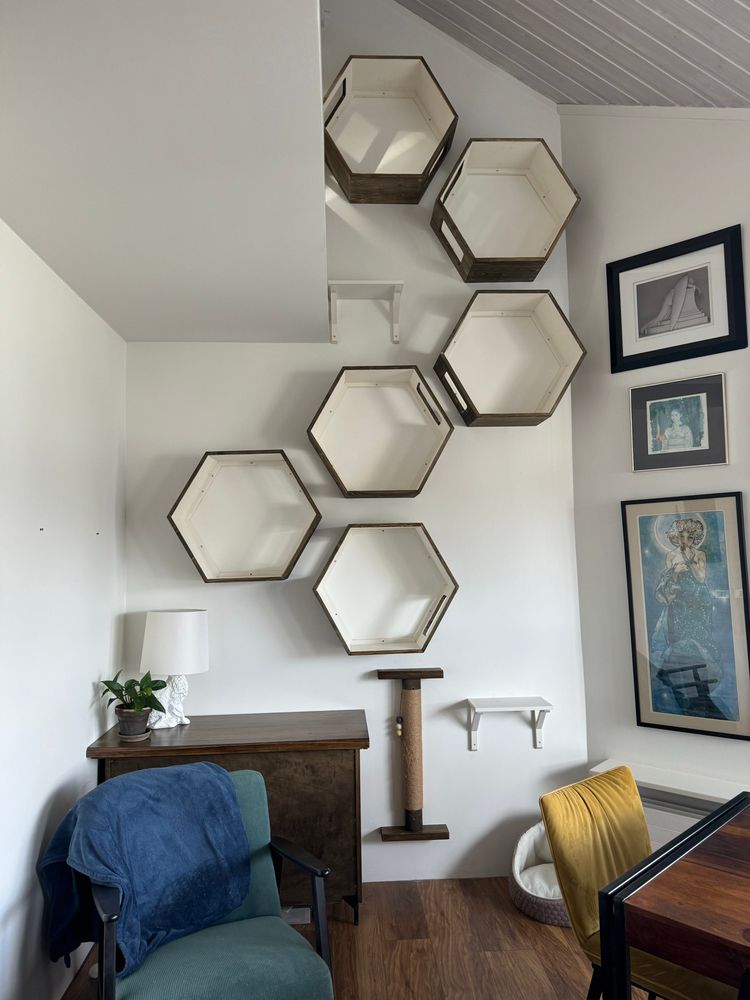 A cat play wall installation of hexagonal shelves with holes that form a maze, a wood table to match, and a scratching post.