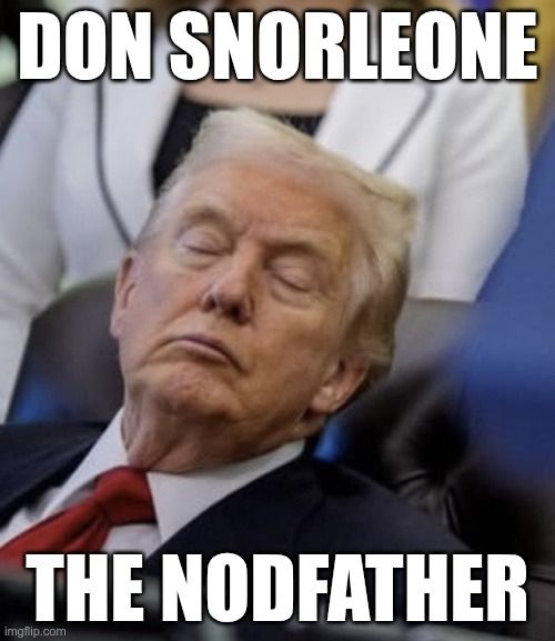 Pic of Trump with eyes closed in desk chair, two other people partially visible

DON SNORLEONE

THE NODFATHER