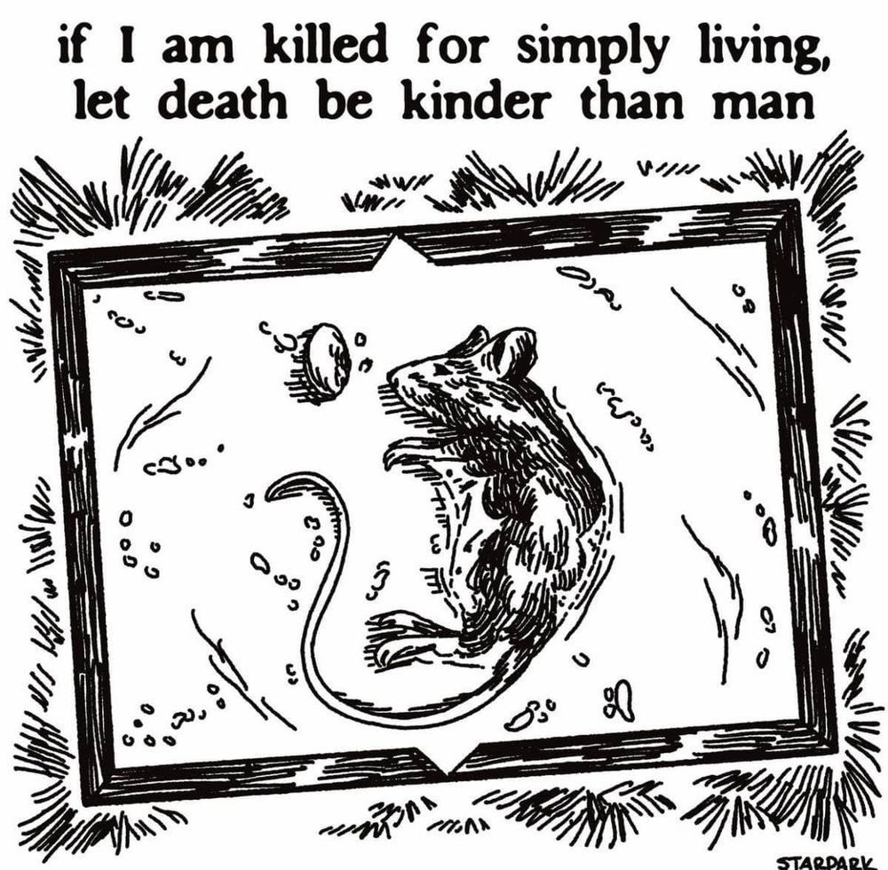 A rat is dead, laying in a glue trap. Above it is the text "if I am killed for simlly living, let death be kinder than man"