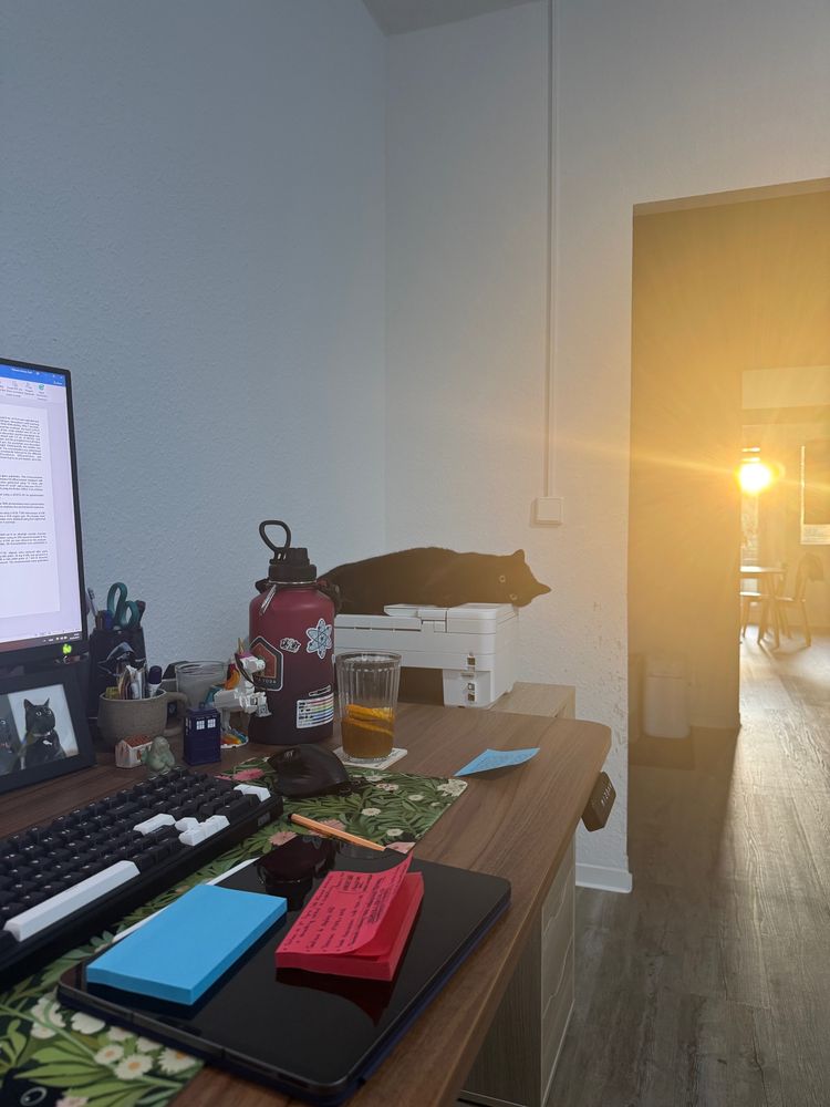 Pov: observando o pôr do sol da minha mesa de trabalho de casa. Uma mesa a esquerda com teclado, post-it coloridos espalhados, 1/3 de um monitor e um copão de café. Do lado da mesa tem um armário com uma impressora em cima e uma gatinha preta deitada nela, olhando pra câmera. No lado direito, uma porta de vidro com os raios de sol brilhando. 