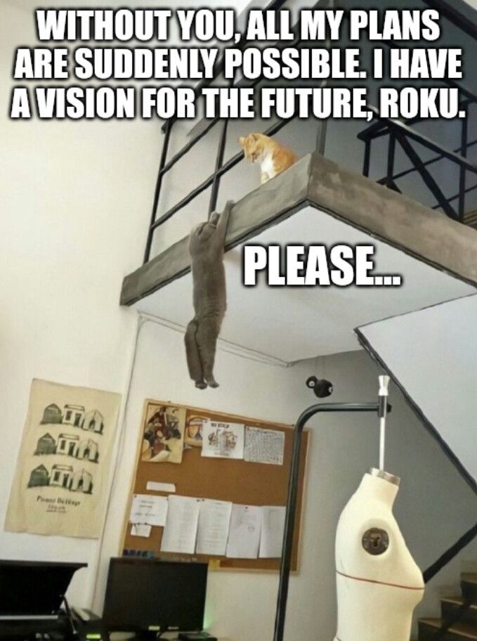 One cat hanging off a ledge as another cat looks down on it saying "Without you, all my plans are suddenly possible. I have a vision for the future, roku" as the hanging cat say "please..."