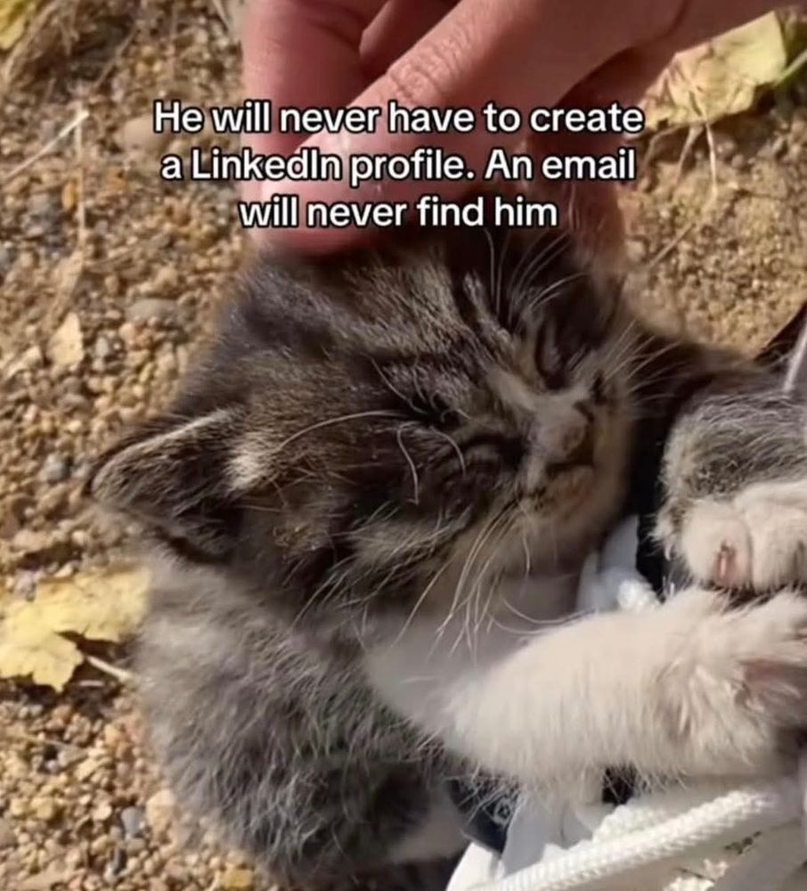 Kitten: He will never have to create a Linkedin profile. An email will never find him