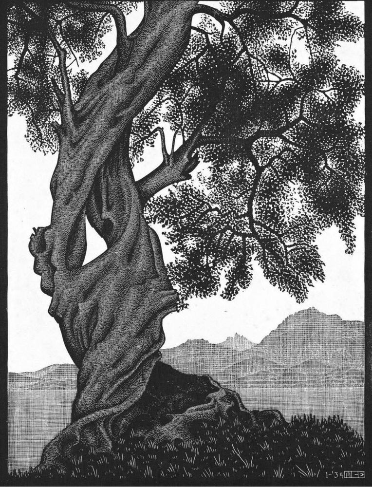 Black and white art of an oral Tree on a hill over a bay looking across the mountains 