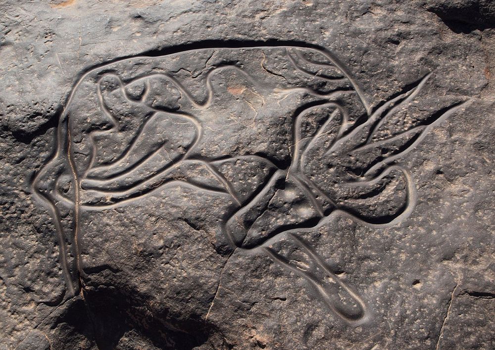 A sleeping antelope carved into rock. There are interesting curvy details (just decorative?) along its back.