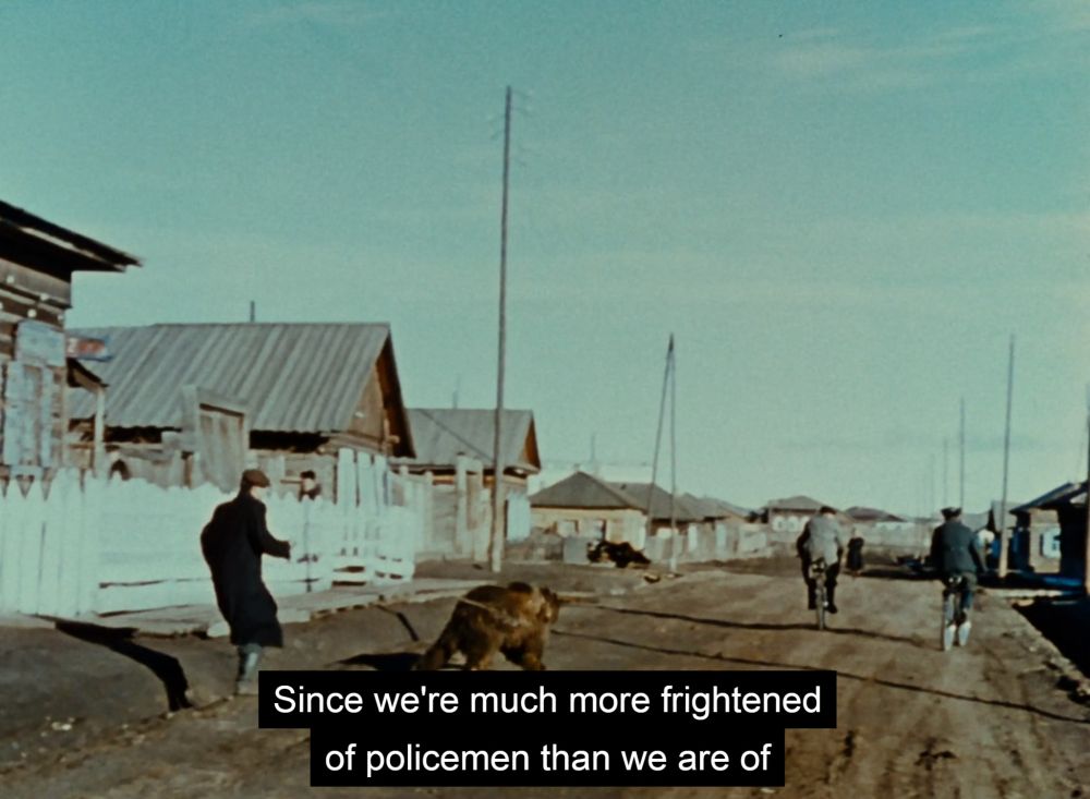 "Since we're much more frightened of policemen than we are of bears"