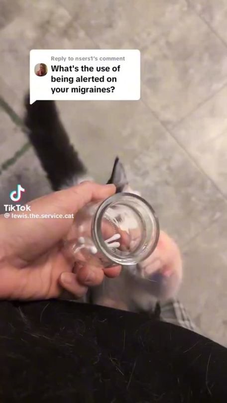 Reblog by @fortjester · 1 video