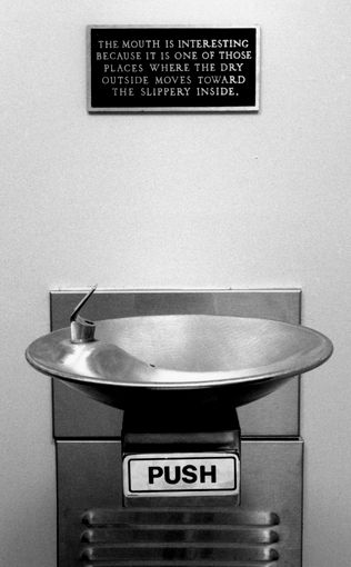 Photograph of a water fountain, and over it is an aluminum sign that reads: 
THE MOUTH IS INTERESTING BECAUSE IT IS ONE OF THOSE PLACES WHERE THE DRY OUTSIDE MOVES TOWARD THE SLIPPERY INSIDE