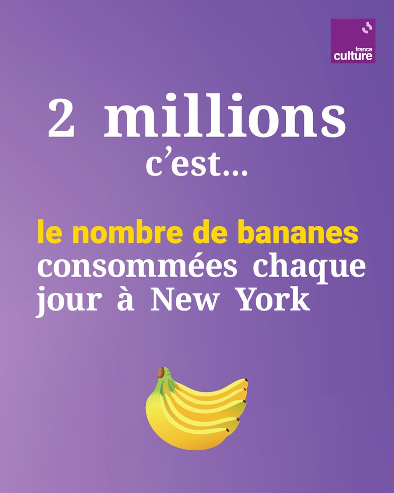 2 millions c’est le nombre de bananes consommées chaque jour à New York