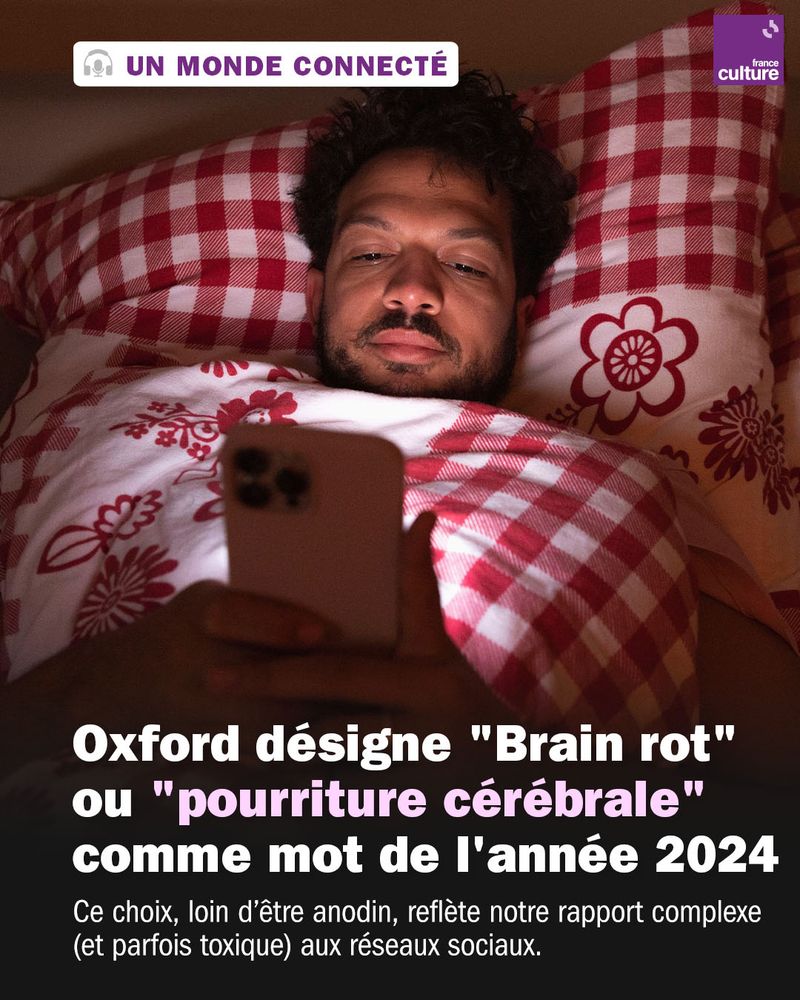 Titre du visuel : Oxford désigne "Brain rot" 
ou "pourriture cérébrale" 
comme mot de l'année 2024 
Sous-titre du visuel : Ce choix, loin d’être anodin, reflète notre rapport complexe 
(et parfois toxique) aux réseaux sociaux.