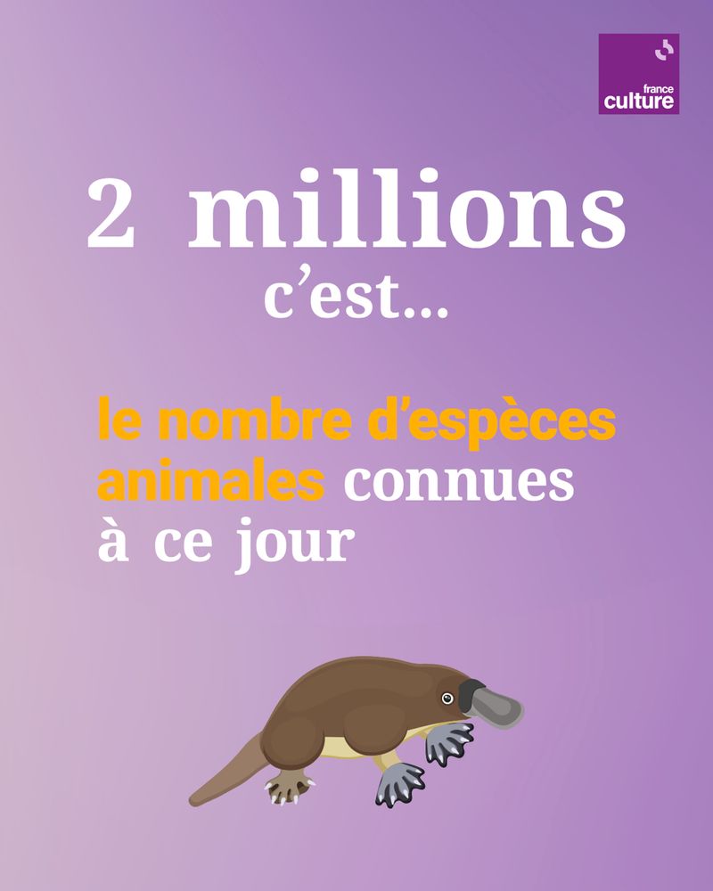 2 millions c’est le nombre d’espèces animales connues à ce jour - France Culture