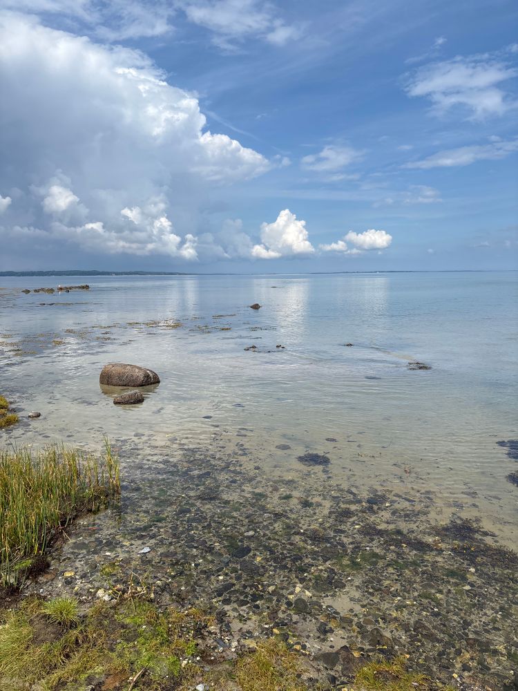 Picture of a Danish beach 