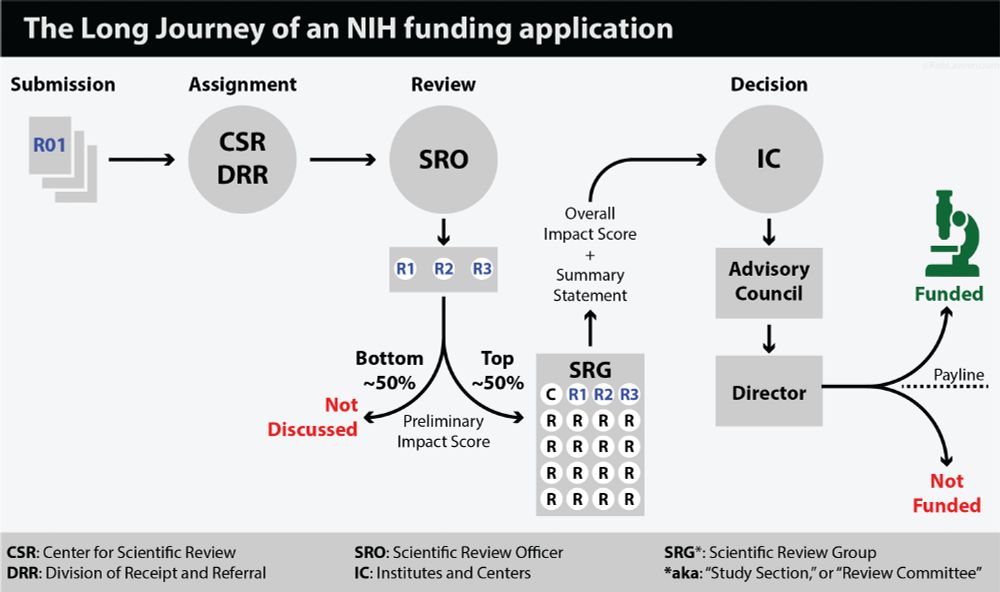 An illustration of the review steps for NIH funding applications.